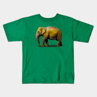 Elephant NYC taxi Kids T-Shirt